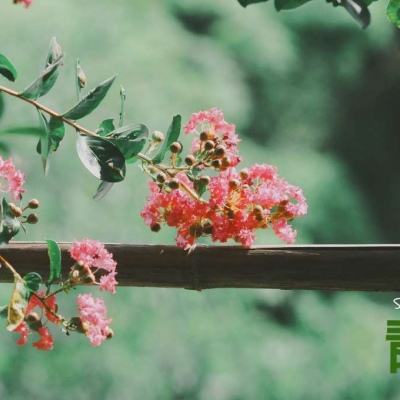 beat365手机版客户端